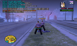 sa-mp-008.png