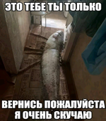 1748123360854.png