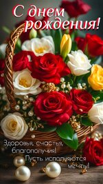 IMG_7954.jpeg
