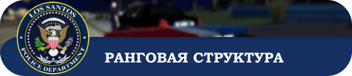 РАНГОВАЯ СТРУКТУРА.png