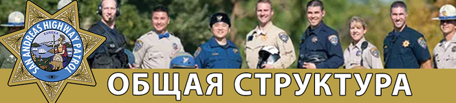 Общая структура.png