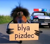 IMG_8247.jpeg