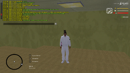 GTA_SA_MP 27.07.2025 0_11_36.png