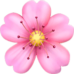 1756050584052.png