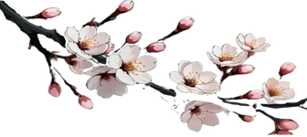image-removebg-preview (1).png image-removebg-preview (1).png