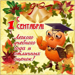 1756724367338.png