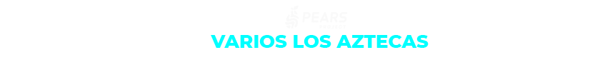 AZTEC DP.png AZTEC DP.png