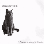 виновен.gif
