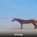 1759398120547.png