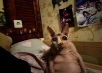 IMG_8104.jpeg
