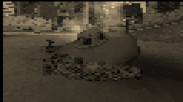 image (59).png