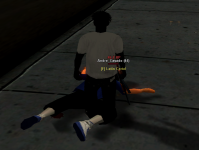 image (11).png
