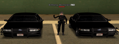 1761409039347.png