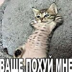 96db971498f55927b5074ef101f688f0.jpg 96db971498f55927b5074ef101f688f0.jpg