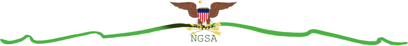 forum ngsa.png